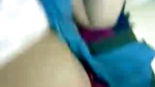 பெரிய கழுதை