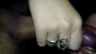 படகோட்டி விழுங்குதல்